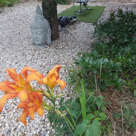 Midi Room, Free Parking, Terrace, Ac, Wifi 4* Siófok