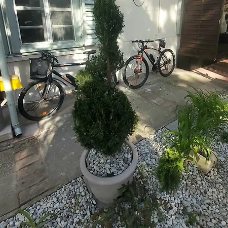 Midi Terrace Wifi Autoparking Guest house *