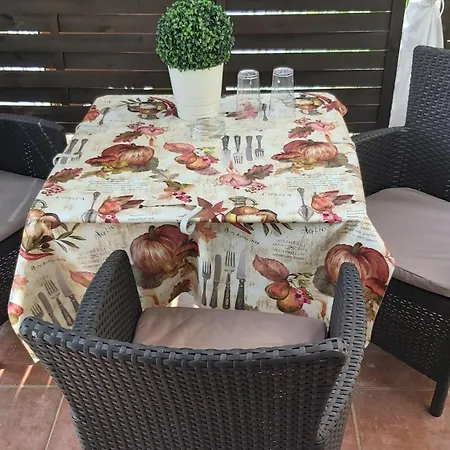 Guest house Midi Terrace Wifi Autoparking