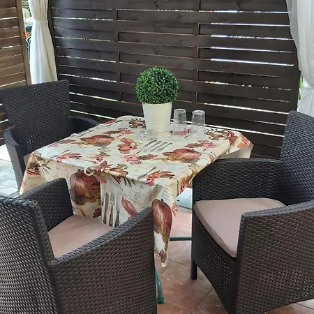 Midi Terrace Wifi Autoparking Guest house *