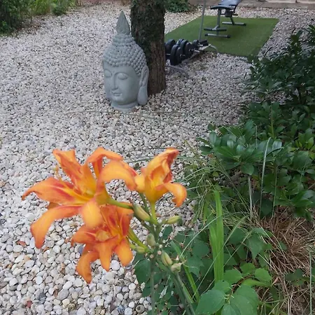 Guest house Midi Terrace Wifi Autoparking *